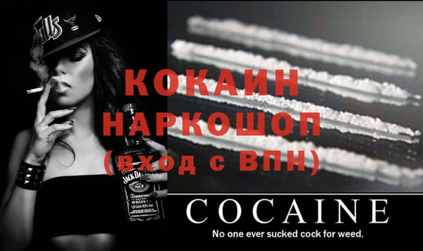 2c-b Бородино