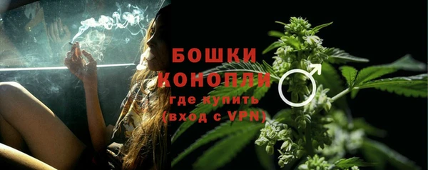 2c-b Бородино