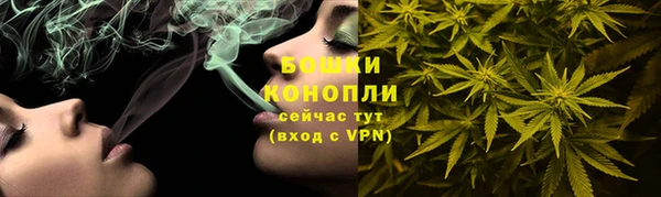 ГАЛЛЮЦИНОГЕННЫЕ ГРИБЫ Верея