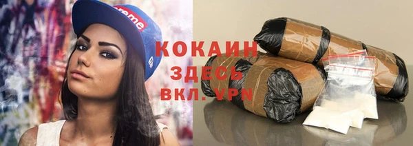 молекула духа Верхний Тагил