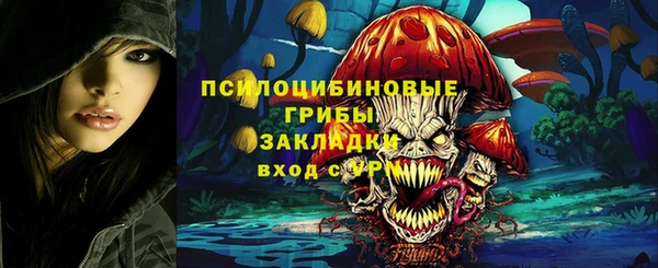 2c-b Бородино