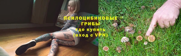 2c-b Бородино