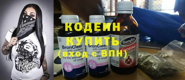 2c-b Бородино