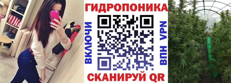 Шишки марихуана VHQ  Купить где  Севастополь 